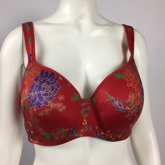 Cacique Other - Cacique | 42D | Y